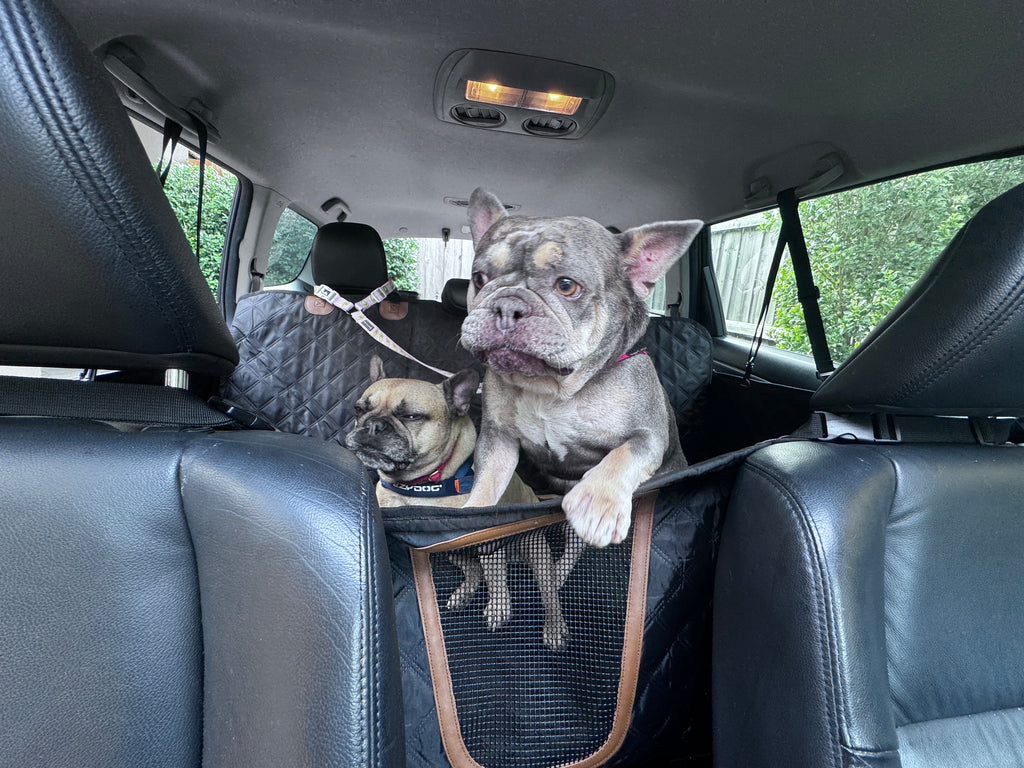 Pawthentic™ Backseat Basecamp