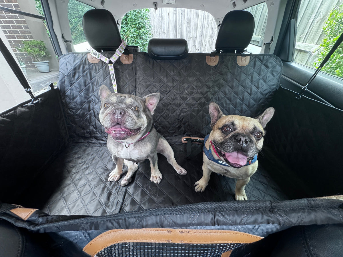 Pawthentic™ Backseat Basecamp