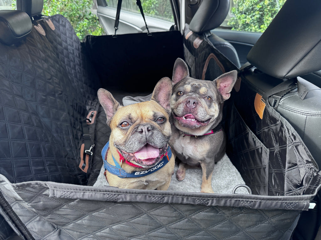 Pawthentic™ Backseat Basecamp
