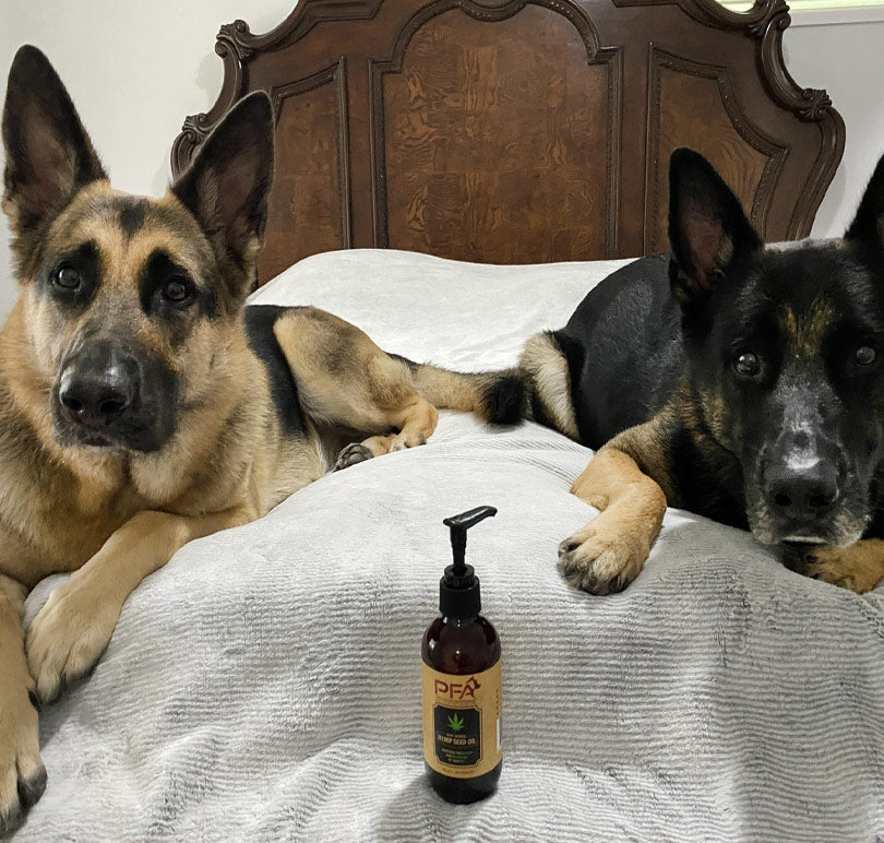 Pawthentic™ Hemp Seed Oil for Dogs