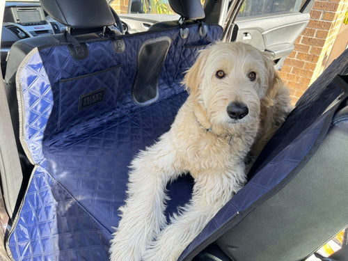 Pawthentic™ Backseat Basecamp